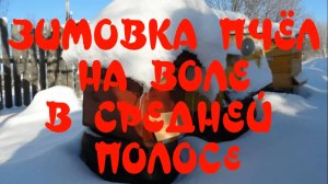 ВСЯ ПРАВДА О ЗИМОВКЕ ПЧЁЛ НА ВОЛЕ В СРЕДНЕЙ ПОЛОСЕ