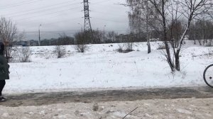 Ноты