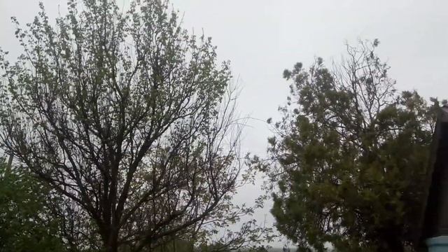 16 мая 2019 г. смотреть онлайн