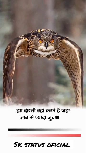 ham dosti waha karte hai #shorts #ytshorts #viral #trending #status #attitude смотреть онлайн