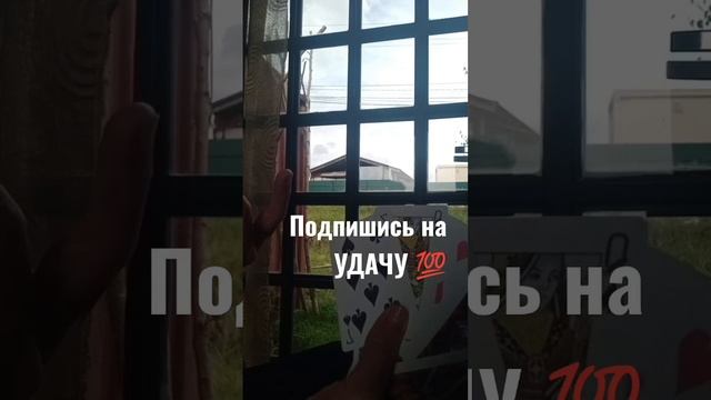 Подпишись на УДАЧУ 💯🎯 смотреть онлайн