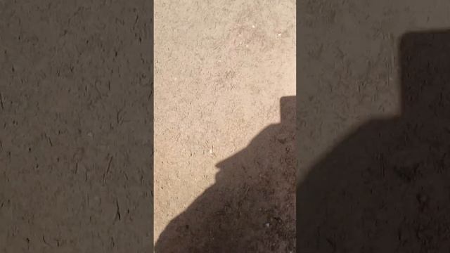 Sara Lee outdoors Colorado dike trail (4) смотреть онлайн