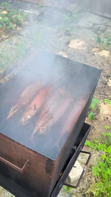 Скумбрия горячего копчения 