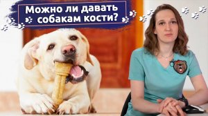 Рассказывает ветеринар：Можно ли давать собакам кости？