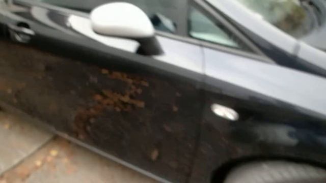 PB220284 смотреть онлайн