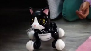 Zoomer Kitty - Interactive Cat Robot - Black, Pink, Orange, Blue Midnight