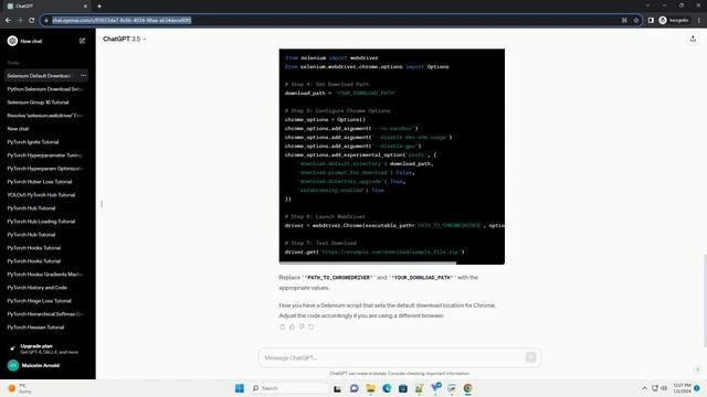python selenium set default download location