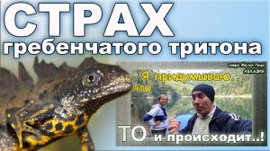 Абхазия. Гребенчатые тритоны озера Малая Рица