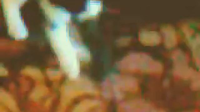 Копия видео Кошка смотреть онлайн