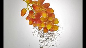 Веточка винограда