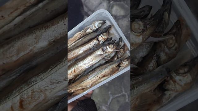 Копчена мойва своїми руками