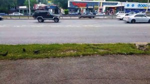 Движение машин 13