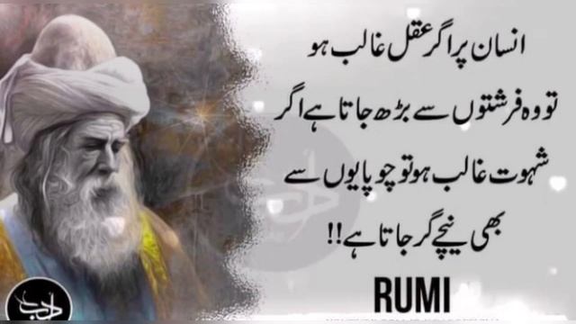 JALALUDDIN RUMI QUOTES | Maulana Jalal uddin Rumi Quotes in Urdu | Best 20 Quotes | By AsadSanaUlla