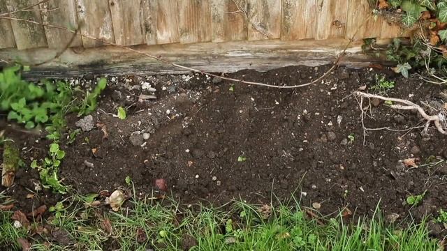 Set of 2 Cultimate Weeding Tools by Grouchy Gardener on QVC смотреть онлайн