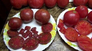 Томат Побрякушки Блю - пестрые вариегатные листья и очень вкусные плоды.