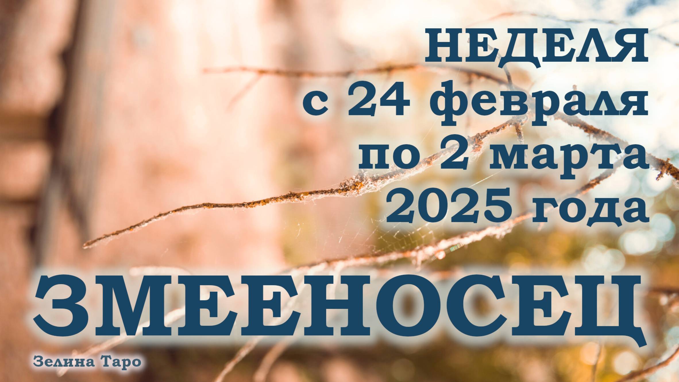 ЗМЕЕНОСЕЦ | ТАРО прогноз на неделю с 24 февраля по 2 марта 2025 года