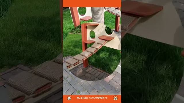 уличный котодром  комплекс для кошек