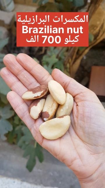 ثاني أغلى المكسرات في العالم المكسرات البرازيلية. ما طعمها؟