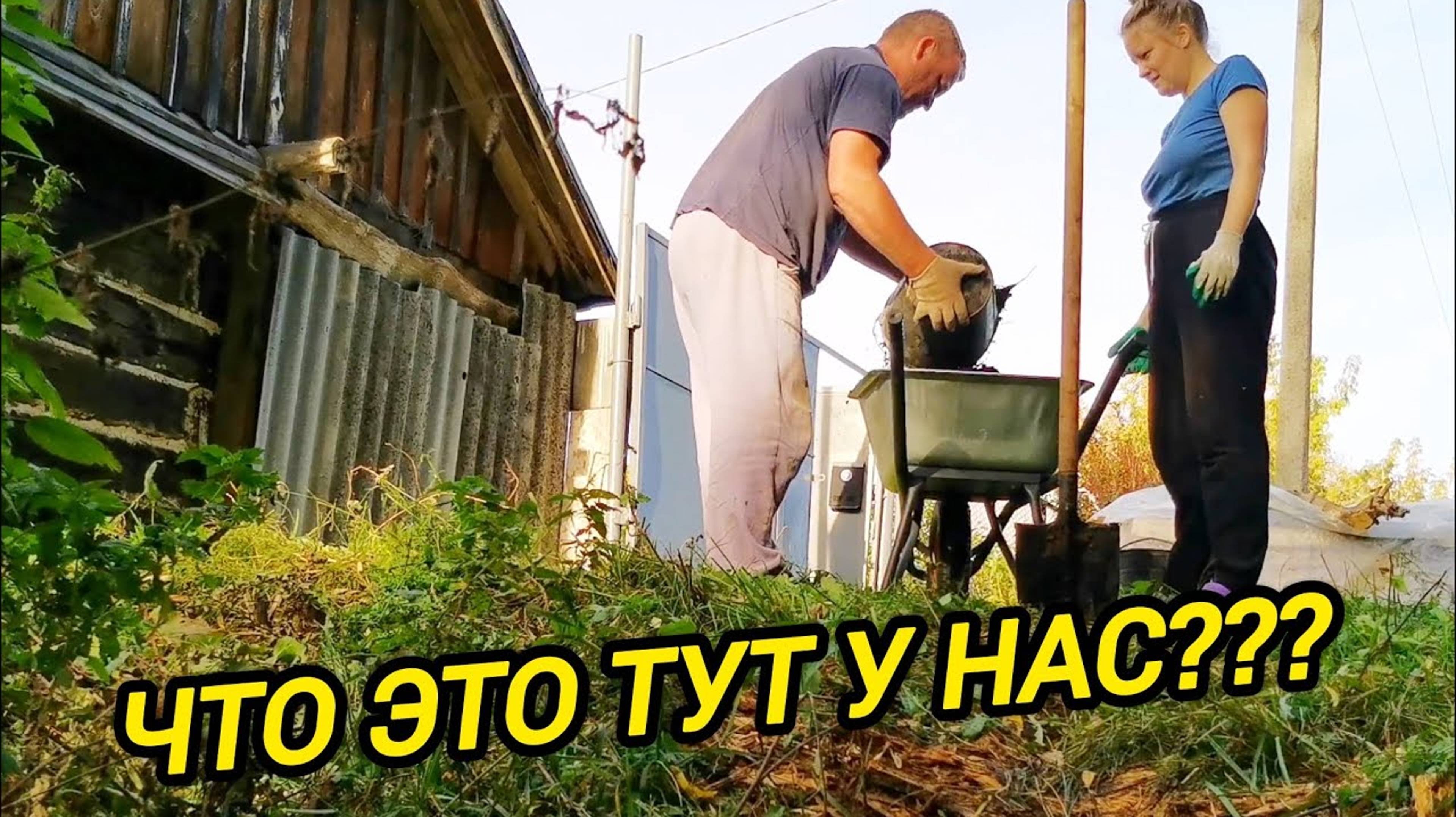ЧТО ЭТО ТУТ У НАС | Подсобное хозяйство | Семья в деревне | Жизнь в деревне