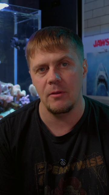 Приятный сюрприз или головная боль? Реальные изменения после обновления до A8SE Max смотреть онлайн