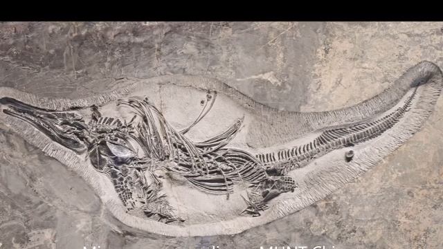 Of Fossil Shells and Other Extraneous Fossils by Oliver Goldsmith 1728-1774