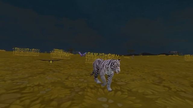 Мини-сериал Приключение Кайна 3 сезон 1 серия (Первая любовь Кайна) смотреть онлайн