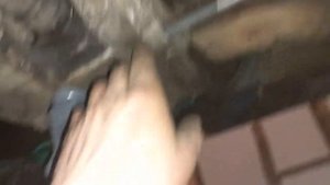 ломает болты на Калине первой крепление подушки КПП почему же на десятке не ломает?