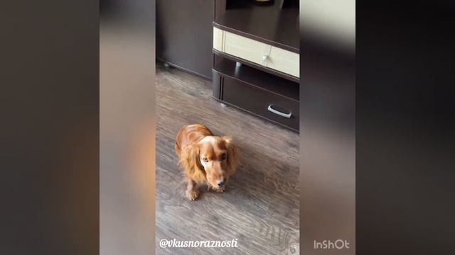 Останься дома!