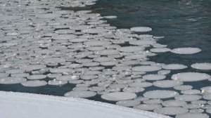 Ледяные круги