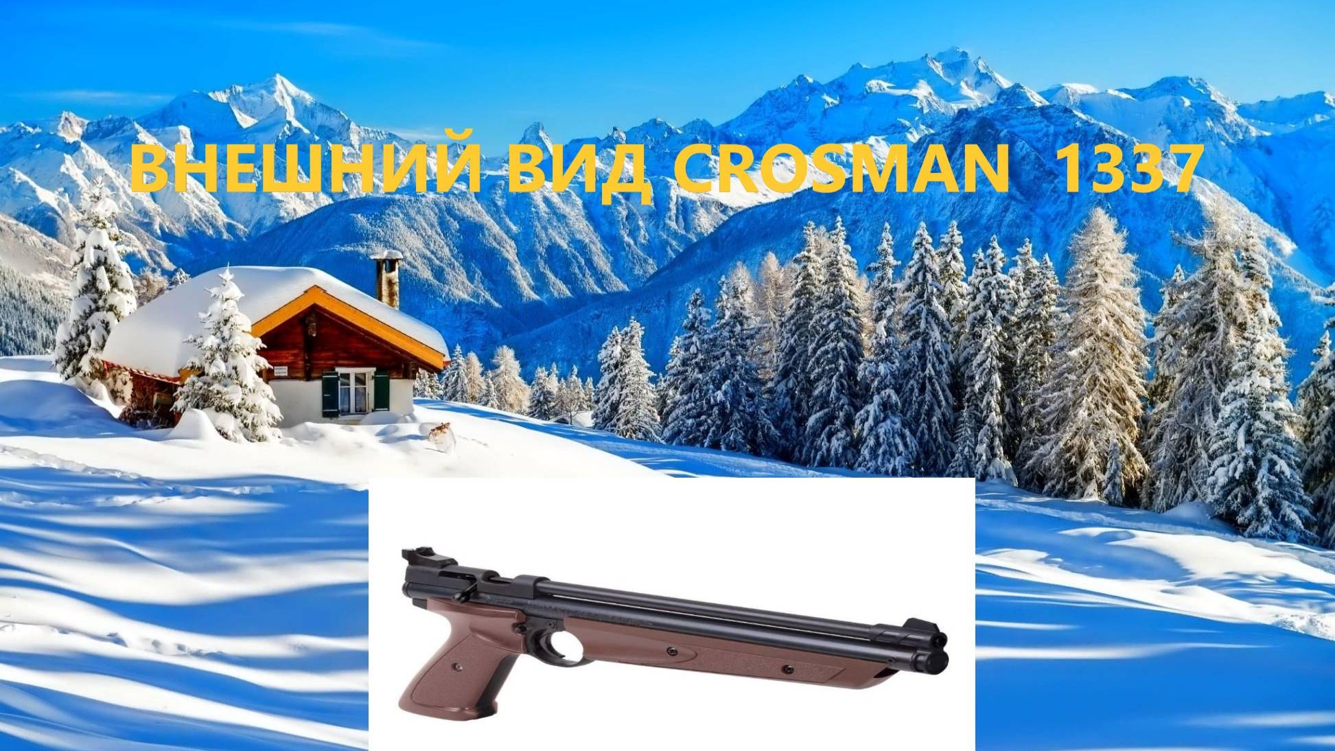 ВНЕШНИЙ ОБЗОР CROSMAN 1337 смотреть онлайн