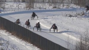 Конные бега Большой Снежный Кубок Чувашии 2025 победители Алексей Краснов и рысак Уникс
