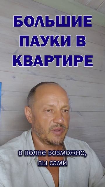 Почему в доме много насекомых? #апж #слизни #пауки смотреть онлайн