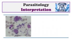 Review 📝 -  in Medical Parasitology