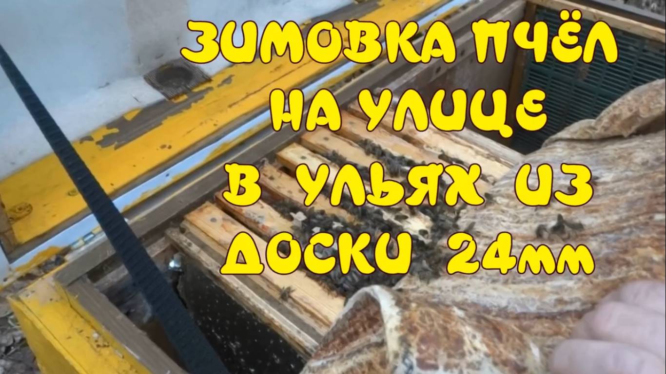ЗИМОВКА ПЧЁЛ НА УЛИЦЕ В УЛЬЯХ ИЗ ДОСКИ 24мм смотреть онлайн