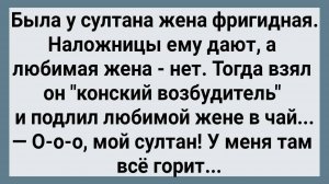 Как Жена Султану Не Давала! Сборник Свежих Анекдотов! Юмор!