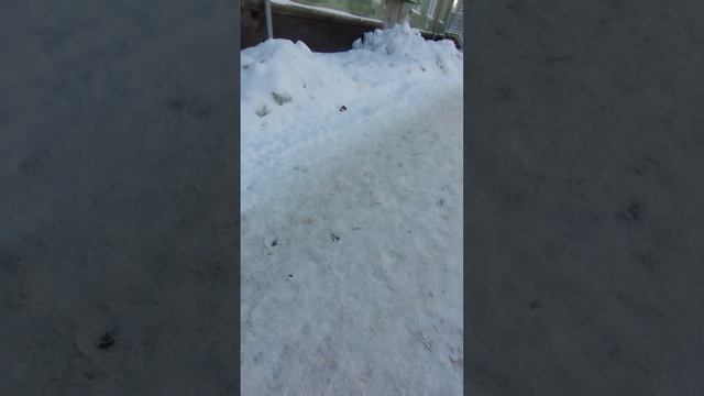 18 февраля 2025 г., 15:26:13
ул. Полины Осипенко
VID_20250218_152358691
