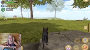 Ксюша играет в игру СИМУЛЯТОР СЕМЬИ КОТОВ...