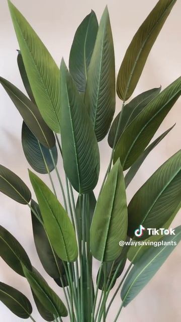 Tall Artificial Bird of Paradise plants смотреть онлайн