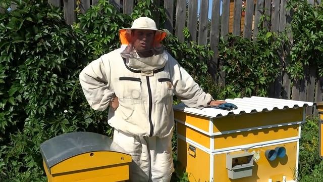 ГЕНИАЛЬНО И ПРОСТО!!! Как исправить злой улей. (BRILLIANT AND SIMPLE!!! How to fix the evil hive.)