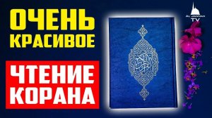 Сура Аль Имран Слушать Коран Красивое Чтение