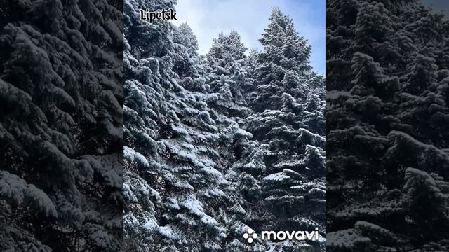 наконец то снег в городе...в феврале....mp4