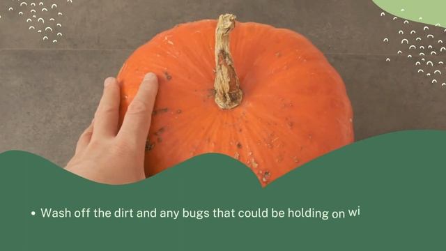 Will A Pumpkin Ripen Off The Vine смотреть онлайн