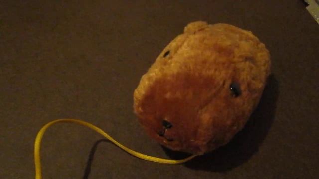 My Kapibara-san смотреть онлайн