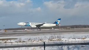 Airbus А330-300 "EgyptAir" "SU-GDV" посадка в Домодедово DME.