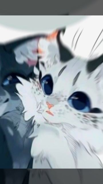 °•Эдит Синей Звезде💙⭐️•°