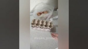 выращиваем лук в контейнере из под яиц