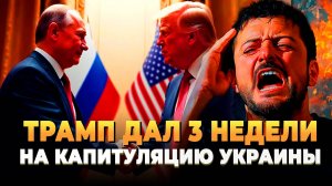 Новости СВО 2025 - Трамп дал три недели на капитуляцию