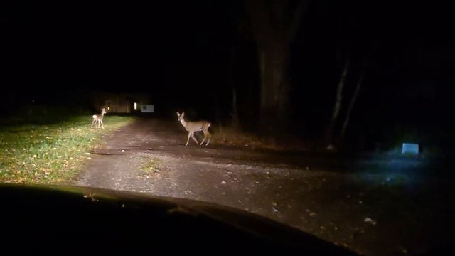 Козлы смотреть онлайн
