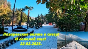 Опять пальмы в снегу! Лазаревское 22.02.2025.  ЛАЗАРЕВСКОЕ СЕГОДНЯ. ЛАЗАРЕВСКОЕ СОЧИ.