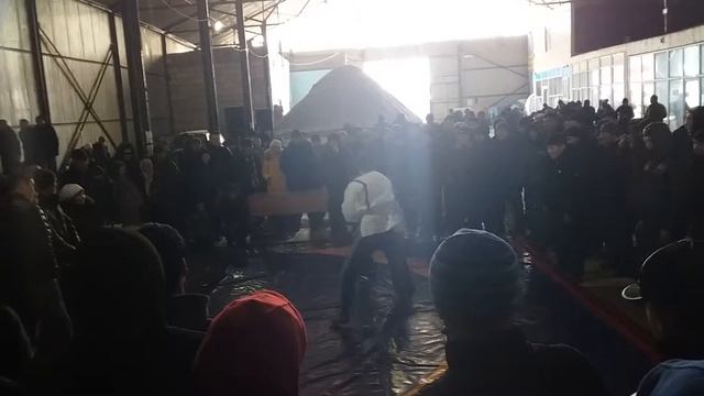 Астанага фаргонадан келиб парот килиб кетган палвон Жавохир смотреть онлайн